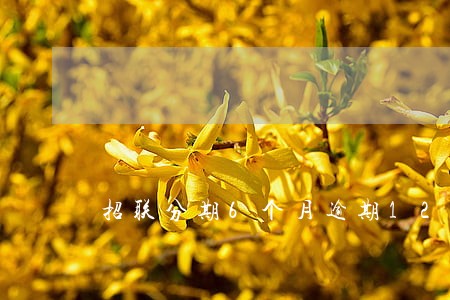 招联分期6个月逾期120天 招联分期6个月逾期120天