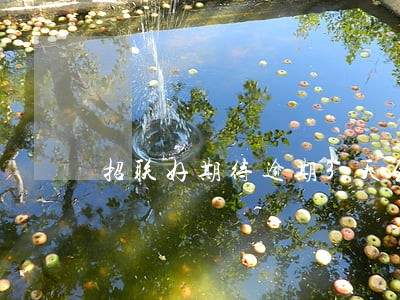 招联好期待逾期3天会上征信嘛 招联好期待逾期3天会上征信嘛