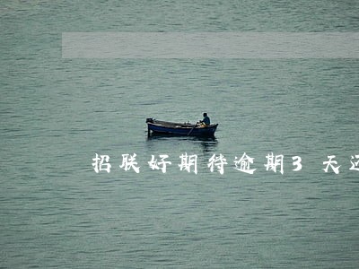 招联好期待逾期3天还上 招联好期待逾期3天还上