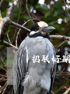 招联好期待逾期41天 招联好期待逾期41天