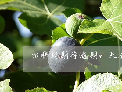 招联好期待逾期4天会上征信吗 招联好期待逾期4天会上征信吗