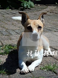 招联好期货逾期1个月