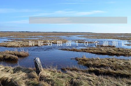 招联好期贷10个逾期记录 招联好期贷10个逾期记录