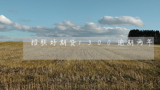 招联好期贷1300逾期两年
