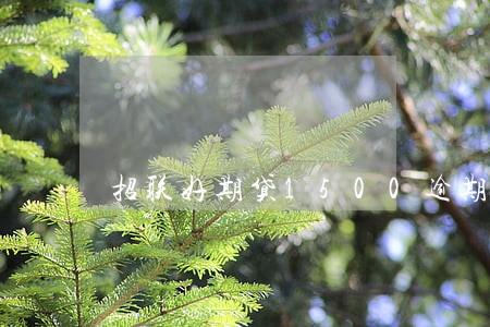 招联好期贷1500逾期