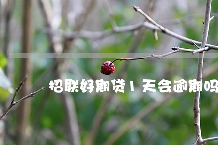 招联好期贷1天会逾期吗 招联好期贷1天会逾期吗