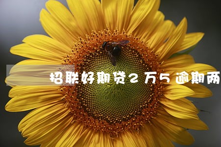 招联好期贷2万5逾期两年 招联好期贷2万5逾期两年