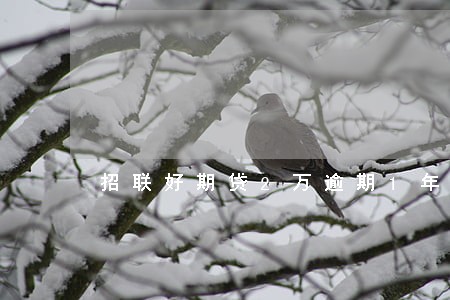 招联好期贷2万逾期1年 招联好期贷2万逾期1年