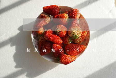 招联好期贷5万逾期一年 招联好期贷5万逾期一年