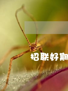 招联好期贷5万逾期半年了 招联好期贷5万逾期半年了