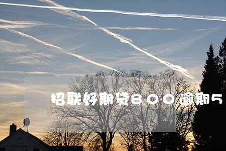 招联好期贷800逾期5天