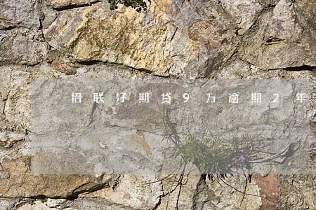 招联好期贷9万逾期2年 招联好期贷9万逾期2年