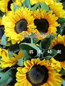 招联好期贷可以只还本金吗 招联好期贷可以只还本金吗