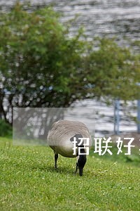招联好期贷还款900逾期 招联好期贷还款900逾期
