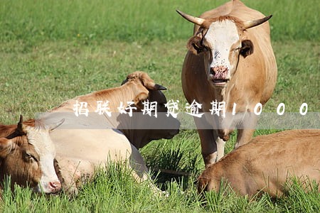 招联好期贷逾期1000 招联好期贷逾期1000