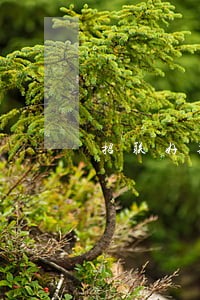 招联好期贷逾期10天了 招联好期贷逾期10天了