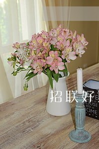 招联好期贷逾期14笔会怎样