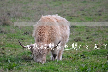 招联好期贷逾期18天了 招联好期贷逾期18天了