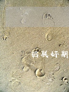 招联好期贷逾期2天有事吗 招联好期贷逾期2天有事吗