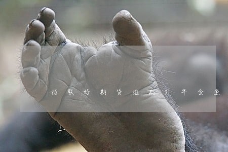 招联好期贷逾期2年会坐牢吗 招联好期贷逾期2年会坐牢吗