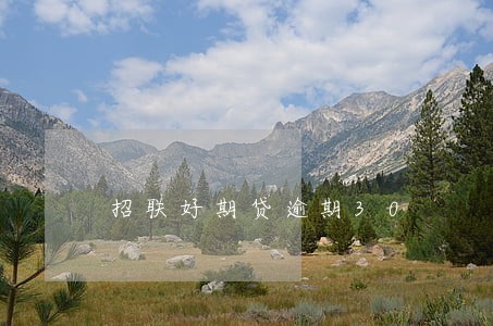 招联好期贷逾期30 招联好期贷逾期30