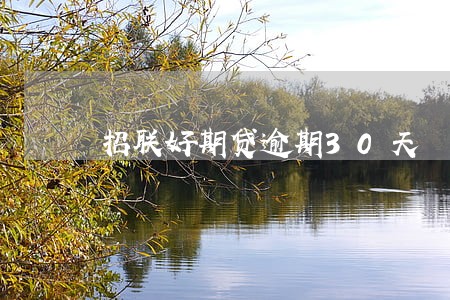 招联好期贷逾期30天