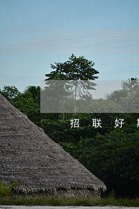 招联好期贷逾期400块 招联好期贷逾期400块