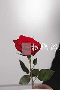 招联好期贷逾期400天
