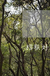 招联好期贷逾期4天了 招联好期贷逾期4天了
