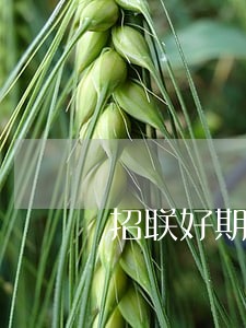 招联好期贷逾期4天还可以借不 招联好期贷逾期4天还可以借不
