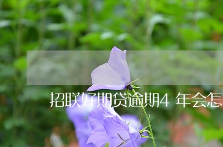 招联好期贷逾期4年会怎样