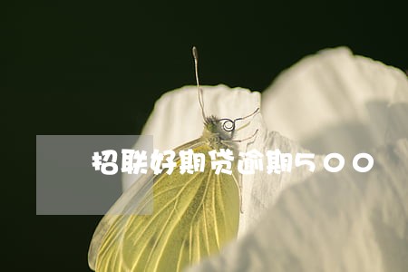招联好期贷逾期500