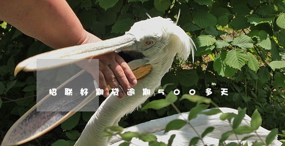 招联好期贷逾期500多天 招联好期贷逾期500多天
