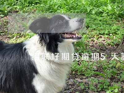 招联好期贷逾期5天额度冻结