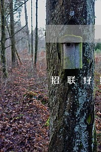 招联好期贷逾期90天 招联好期贷逾期90天