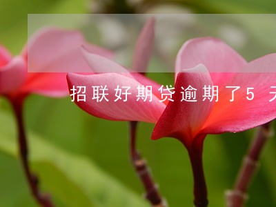 招联好期贷逾期了5天 招联好期贷逾期了5天