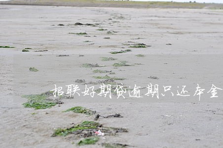 招联好期贷逾期只还本金可以嘛 招联好期贷逾期只还本金可以嘛