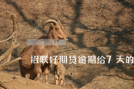 招联好期贷逾期给7天的时间
