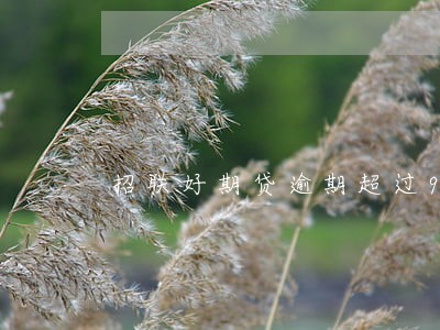 招联好期贷逾期超过90天