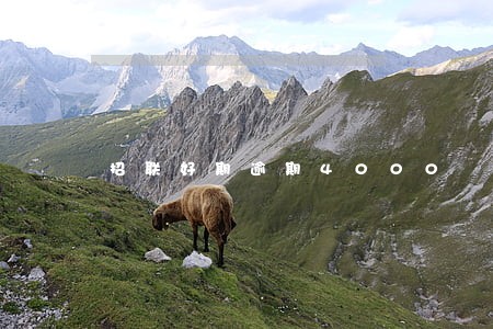 招联好期逾期4000 招联好期逾期4000