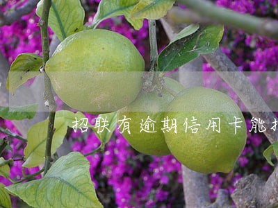 招联有逾期信用卡能批吗 招联有逾期信用卡能批吗