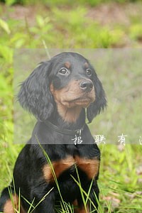 招联有逾期可以办信用卡吗 招联有逾期可以办信用卡吗