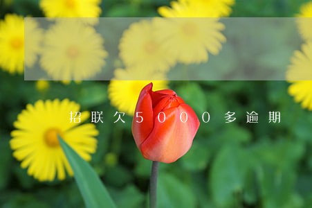 招联欠5000多逾期 招联欠5000多逾期