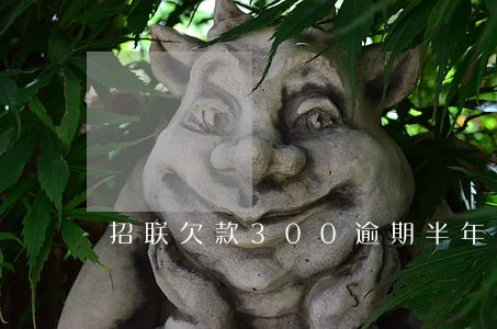 招联欠款300逾期半年 招联欠款300逾期半年