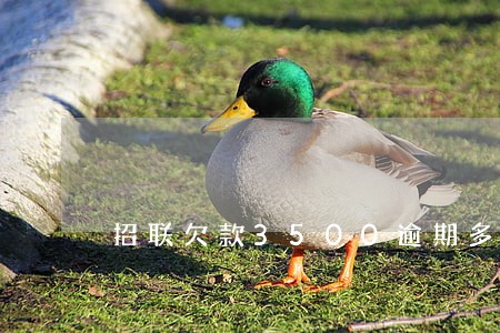 招联欠款3500逾期多久会抓人
