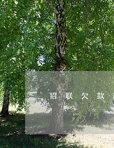 招联欠款逾期1年影响 招联欠款逾期1年影响