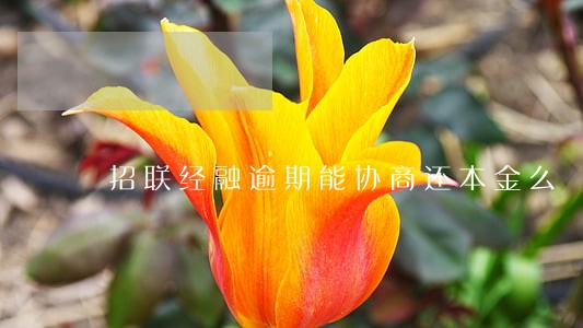 招联经融逾期能协商还本金么 招联经融逾期能协商还本金么