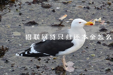 招联网贷只归还本金怎么协商 招联网贷只归还本金怎么协商