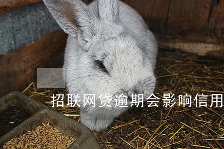 招联网贷逾期会影响信用卡吗 招联网贷逾期会影响信用卡吗