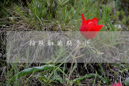 招联融逾期不还 招联融逾期不还